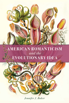 Hardcover American Romanticism and the Evolutionary Idea Book