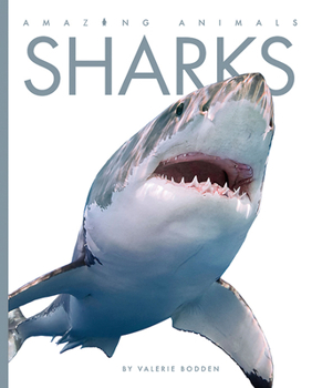 Sharks - Book  of the Animals are Amazing