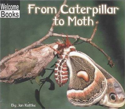 Hardcover From Caterpillar to Moth Book