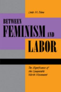 Paperback Between Feminism and Labor: The Significance of the Comparable Worth Movement Book