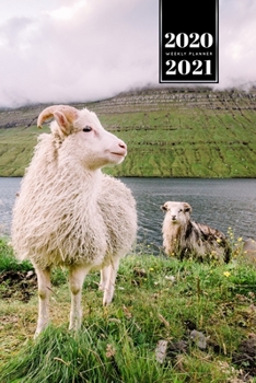 Sheep Lamm Shepherd Herder Farmer Week Planner Weekly Organizer Calendar 2020 / 2021 - River Walk: Cute Wildlife Animal Pet Bullet Journal Notebook Diary in 6” x 9” Inch Pocket Size