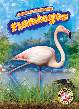Library Binding Flamingos Book