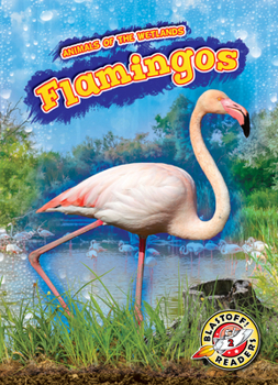 Flamingos - Book  of the Scholastic: Blastoff!  Animals of the Wetlands