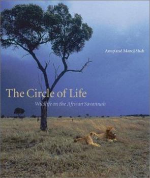 Hardcover The Circle of Life: Wildlife on the African Savannah Book
