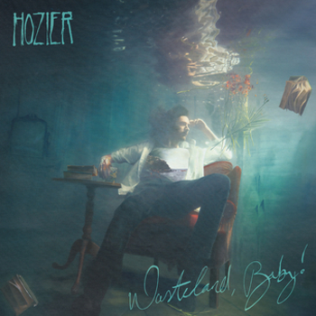 Vinyl Wasteland, Baby! Book