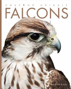 Falcons - Book  of the Animals are Amazing