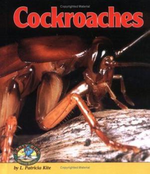 Hardcover Cockroaches Book