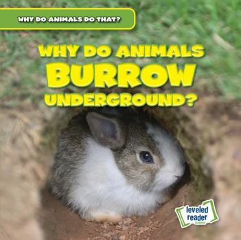 Paperback Why Do Animals Burrow Underground? Book