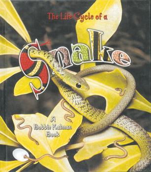 The Life Cycle of a Snake - Book  of the Petit monde vivant