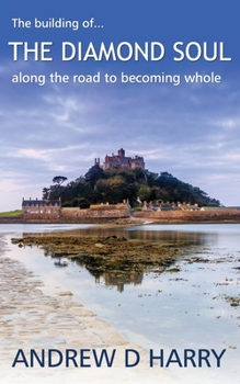 Paperback The Diamond Soul Book