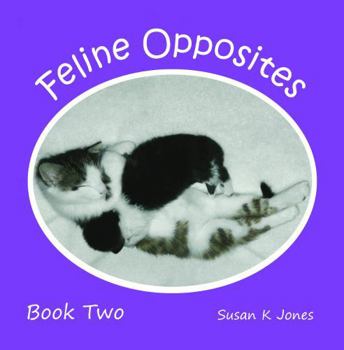 Feline Opposites Book Two