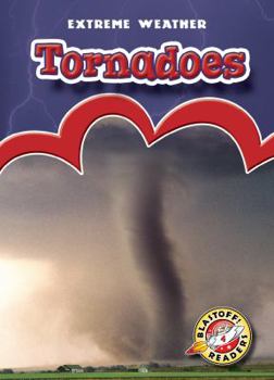 Paperback Tornadoes Book