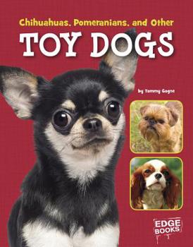 Hardcover Chihuahuas, Pomeranians, and Other Toy Dogs Book