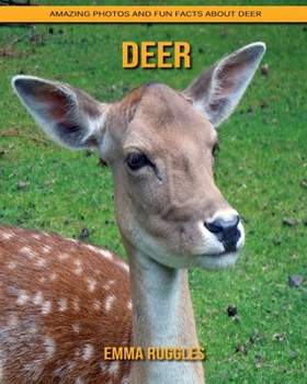 Deer: Amazing Photos and Fun Facts about Deer