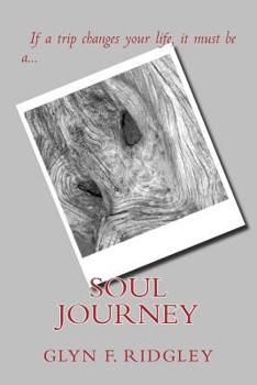 Paperback Soul Journey Book