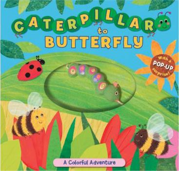 Board book Caterpillar to Butterfly: A Colorful Adventure Book