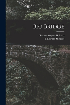Paperback Big Bridge Book