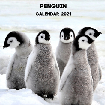 Penguin Calendar 2021: January 2021 - December 2021 Square Photo Book Monthly Planner Calendar Gift For Penguin Lover | Penguin Mom or Dad Present Idea For Men & Women