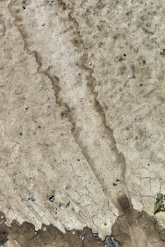 Happy Birthday Book: Happy Birthday Gifts Lined Journal Notebook  (17)  | Journal For Women, Friend Coworker  Birthday Gifts | Funny Gag Gift | Funny ... | 21 Birthday Gag Gifts For Best Friend)