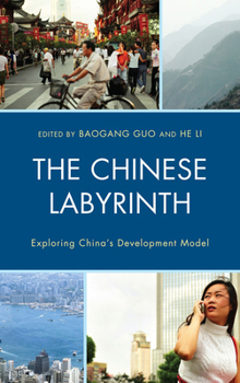 Hardcover The Chinese Labyrinth: Exploring China's Model of Development Book