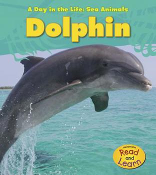 Dolphin - Book  of the A Day In The Life