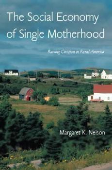 Paperback The Social Economy of Single Motherhood: Raising Children in Rural America Book