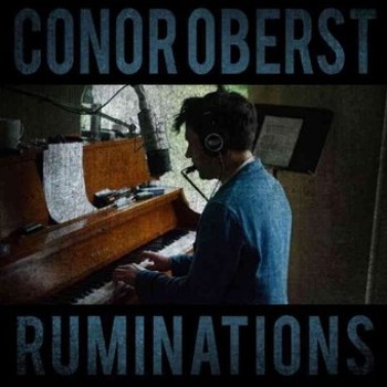Vinyl Ruminations Book