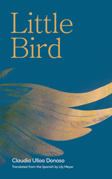 Paperback Little Bird Book