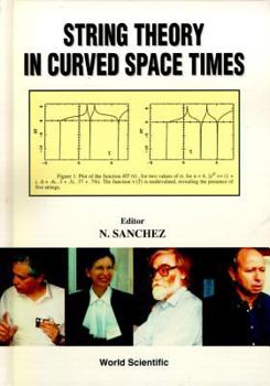 Hardcover String Theory in Curved Space Times, a Collaborative Research Report Book