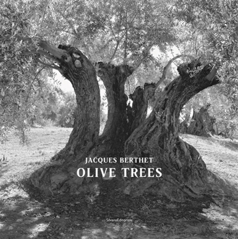 Hardcover Jacques Berthet: Olive Trees Book