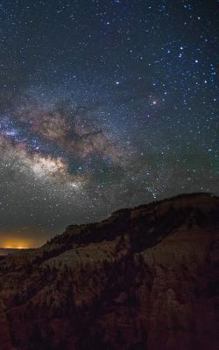 Paperback The Year That Answered Book