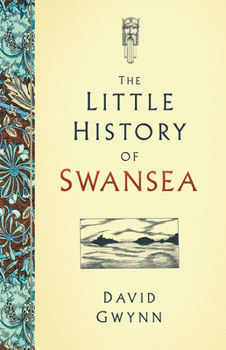 Hardcover The Little History of Swansea Book
