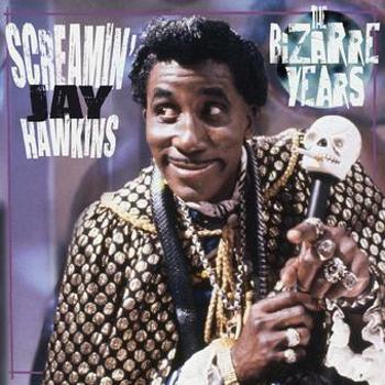 Vinyl Bizarre Years Book