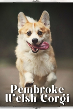Paperback Pembroke Welsh Corgi: Dog breed overview and guide Book