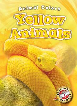 Library Binding Yellow Animals Book