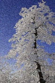 Paperback Journal: Blank Lined Journal with Snowy Tree Cover Book