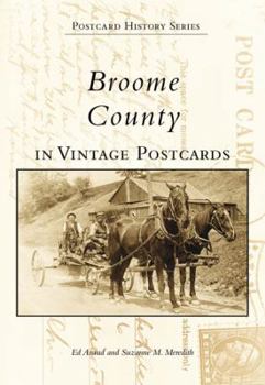 Paperback Broome County in Vintage Postcards Book