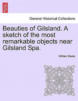 Paperback Beauties of Gilsland. a Sketch of the Most Remarkable Objects Near Gilsland Spa. Book