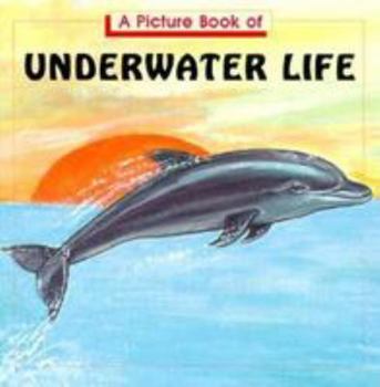Paperback A Picture Book of Underwater Life Book