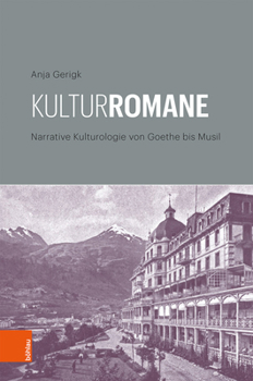 Hardcover Kulturromane: Narrative Kulturologie Von Goethe Bis Musil [German] Book