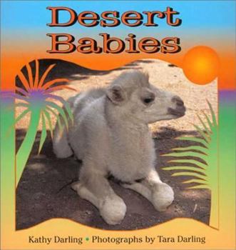 Paperback Desert Babies Book