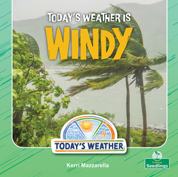 Today's Weather Is Windy