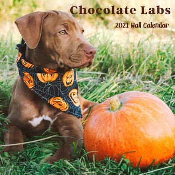 Paperback Chocolate Labs 2021 Wall Calendar: Chocolate Labs 2021 Calendar,18 Months Book