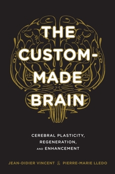 Hardcover The Custom-Made Brain: Cerebral Plasticity, Regeneration, and Enhancement Book