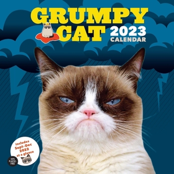 Calendar Grumpy Cat 2023 Wall Calendar Book