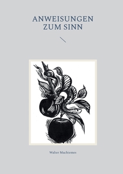 Paperback Anweisungen zum Sinn [German] Book