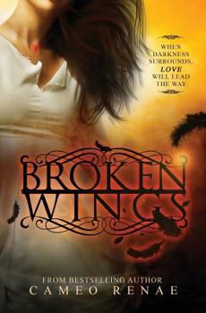 Paperback Broken Wings Book
