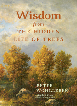 Hardcover Wisdom from the Hidden Life of Trees Book