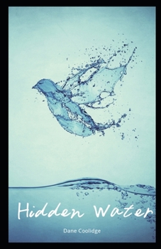 Paperback Hidden Water Illustrated Book