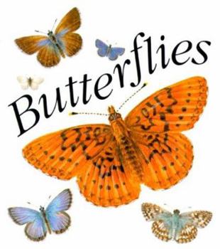 Hardcover Butterflies Book